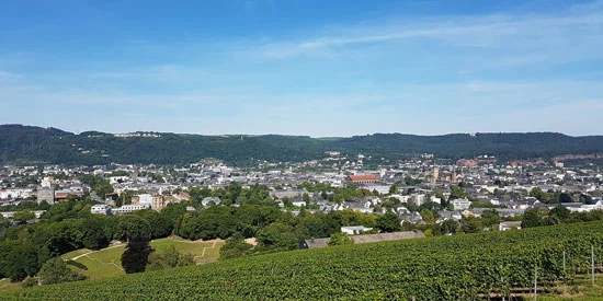 Petrisberg
